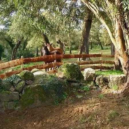 Holiday home Wunderschoenes Mit Eigener Terrasse By Interhome *