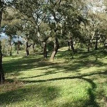 Wunderschoenes Mit Eigener Terrasse By Interhome Holiday home Sartene (Corsica)