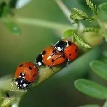 Wunderschoenes Mit Eigener Terrasse By Interhome