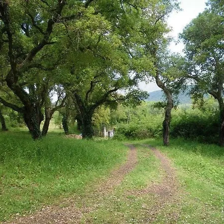Wunderschoenes Mit Eigener Terrasse By Interhome * Sartene (Corsica)