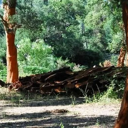 Wunderschoenes Mit Eigener Terrasse By Interhome Sartene (Corsica)